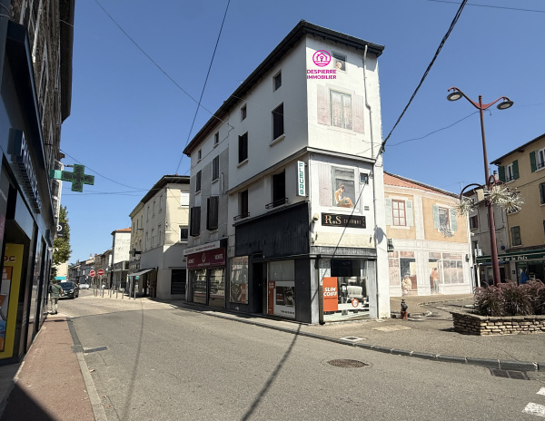 Offres de vente Immeuble Le Péage-de-Roussillon 38550
