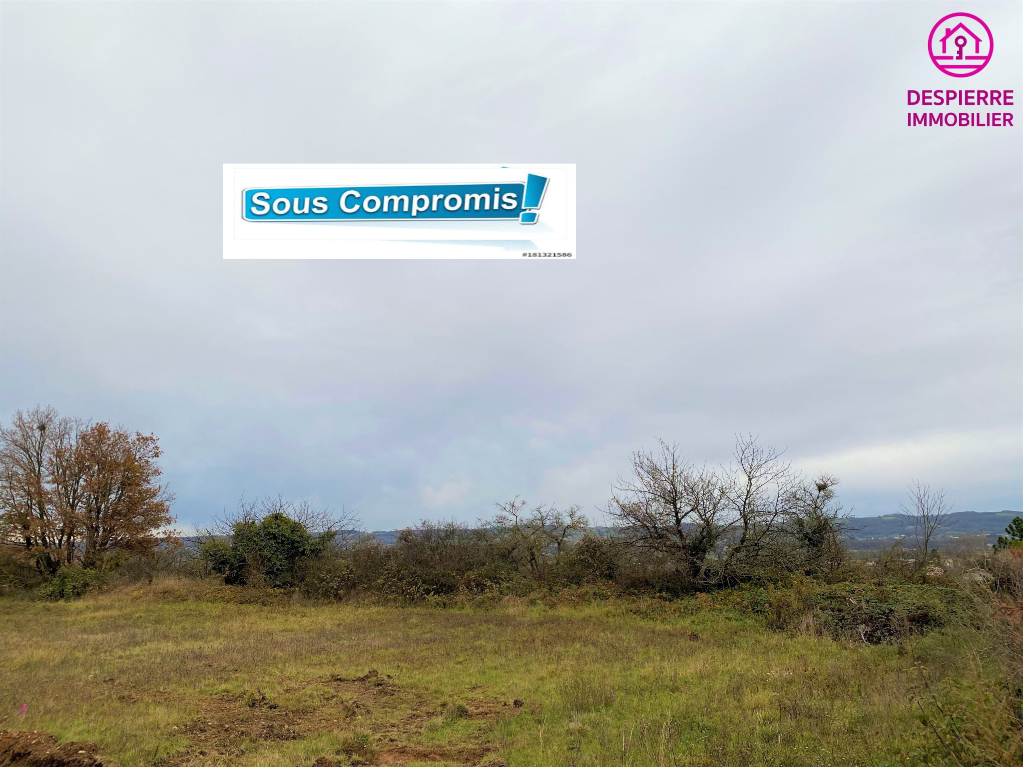 Agence immobilière de Despierre  Immobilier