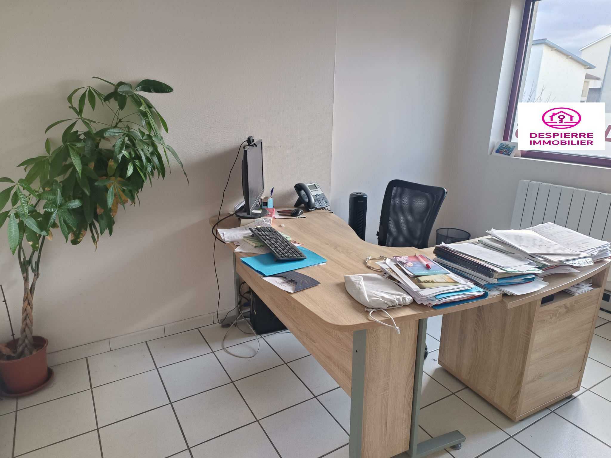 Agence immobilière de Despierre  Immobilier